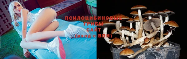 ешки Дмитриев
