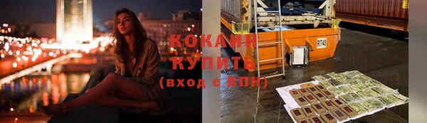ешки Дмитриев