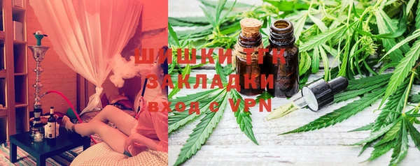ешки Дмитриев
