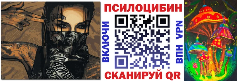 Галлюциногенные грибы Psilocybine cubensis  купить   Хабаровск 
